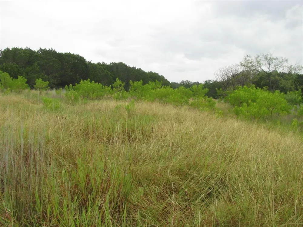PR 1002 Purmela, TX 76566
