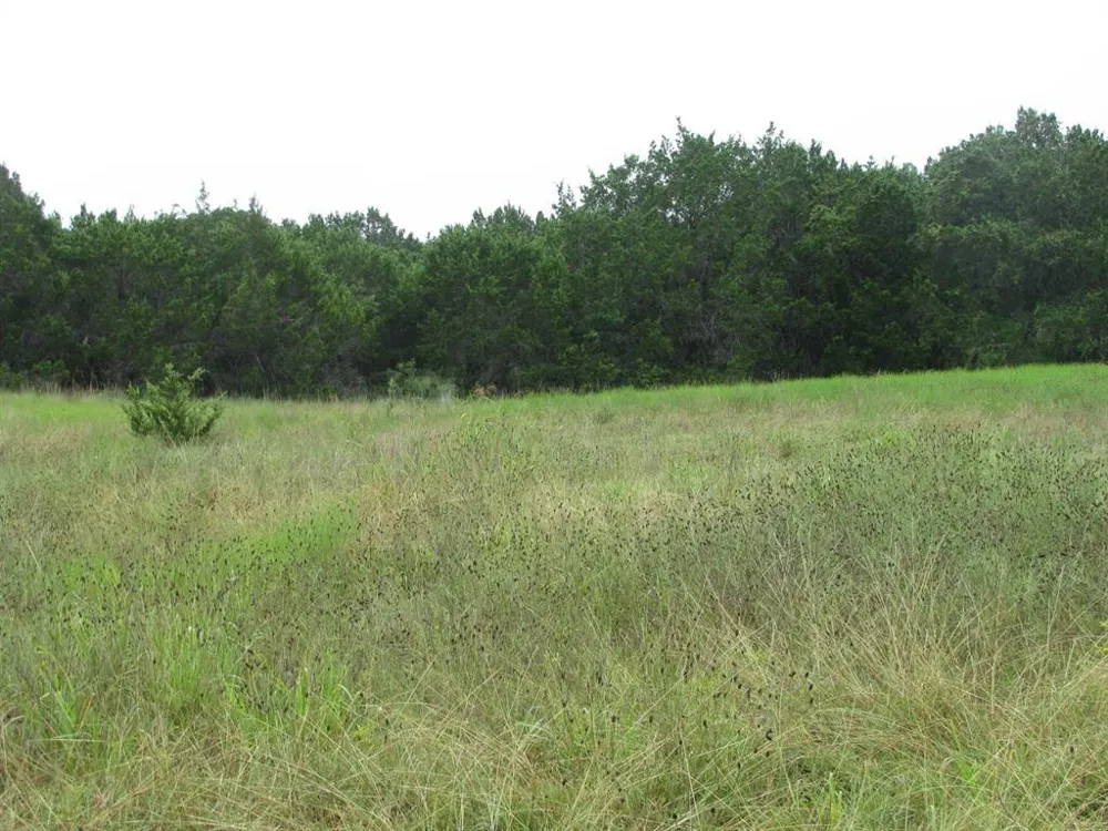 PR 1002 Purmela, TX 76566