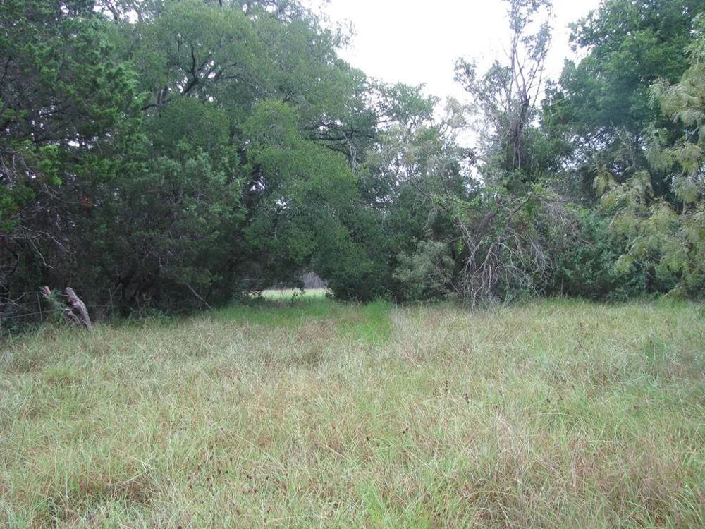 PR 1002 Purmela, TX 76566