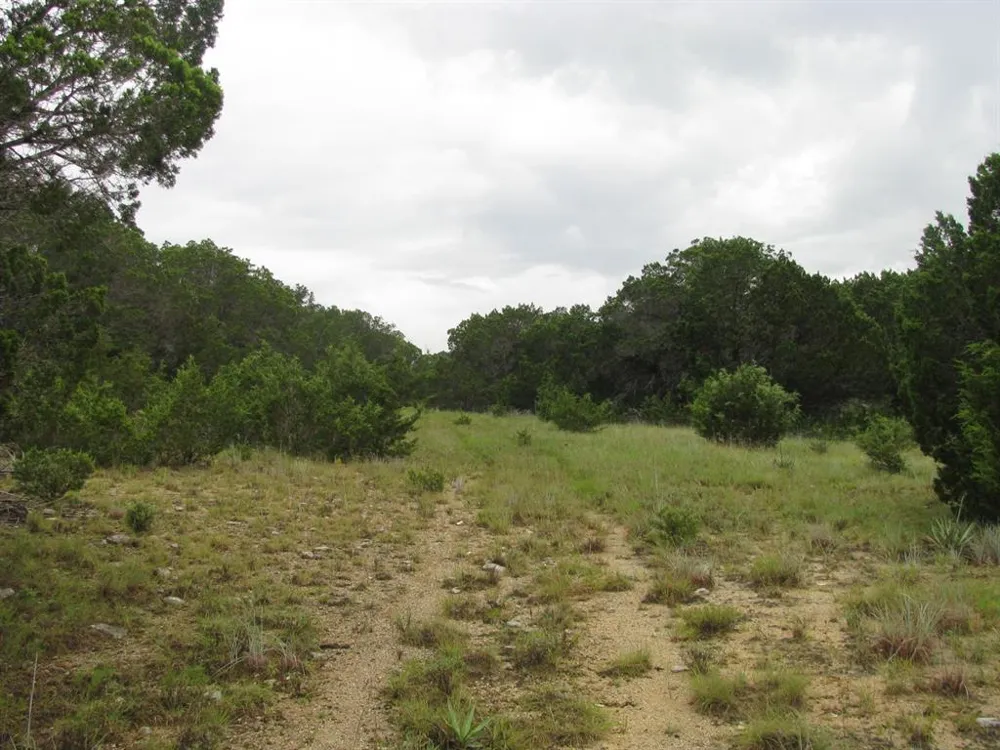 PR 1002 Purmela, TX 76566