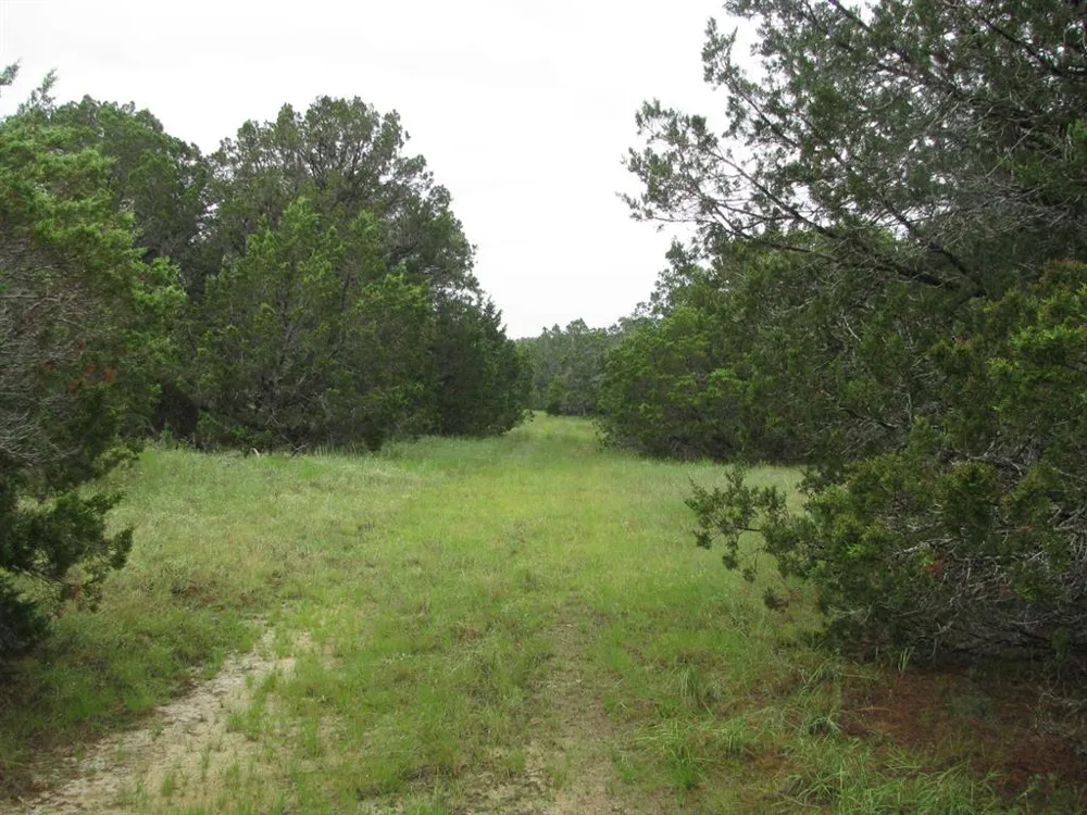 PR 1002 Purmela, TX 76566