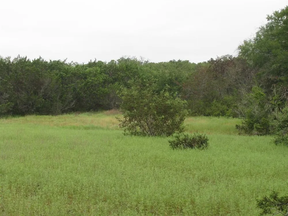 PR 1002 Purmela, TX 76566