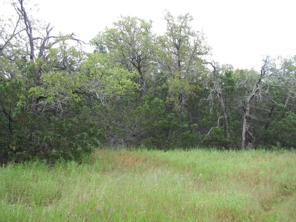 PR 1002 Purmela, TX 76566