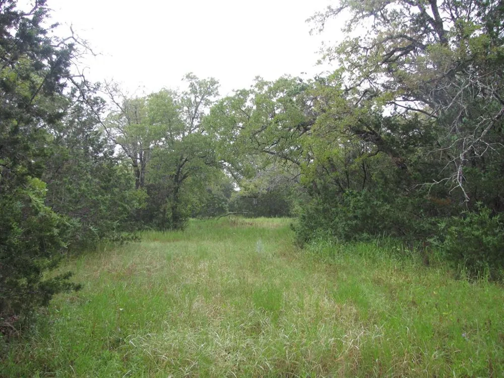 PR 1002 Purmela, TX 76566