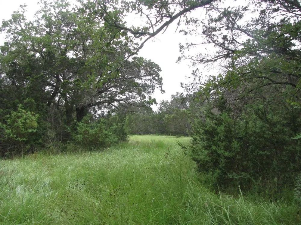 PR 1002 Purmela, TX 76566