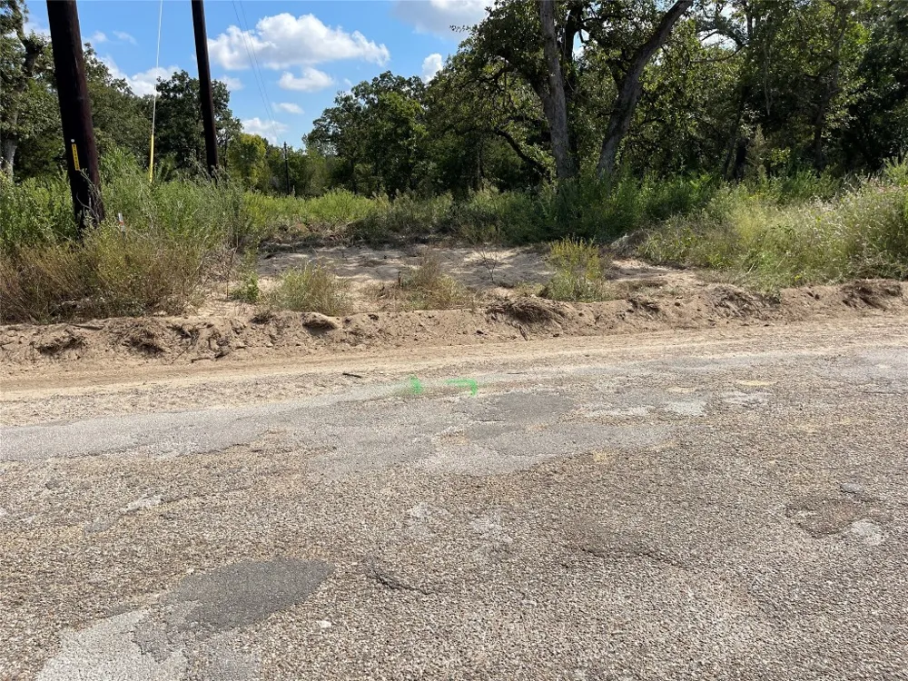 1280 Cypress Trail Loop Rockdale, TX 76567