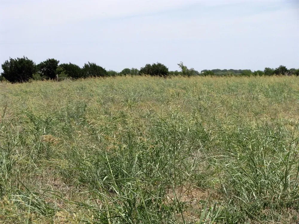 County Road 404 Hamilton, TX 76531