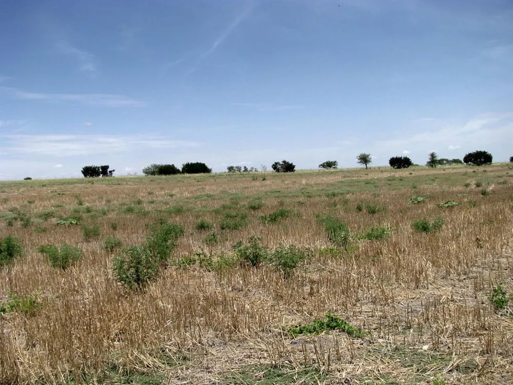 County Road 404 Hamilton, TX 76531