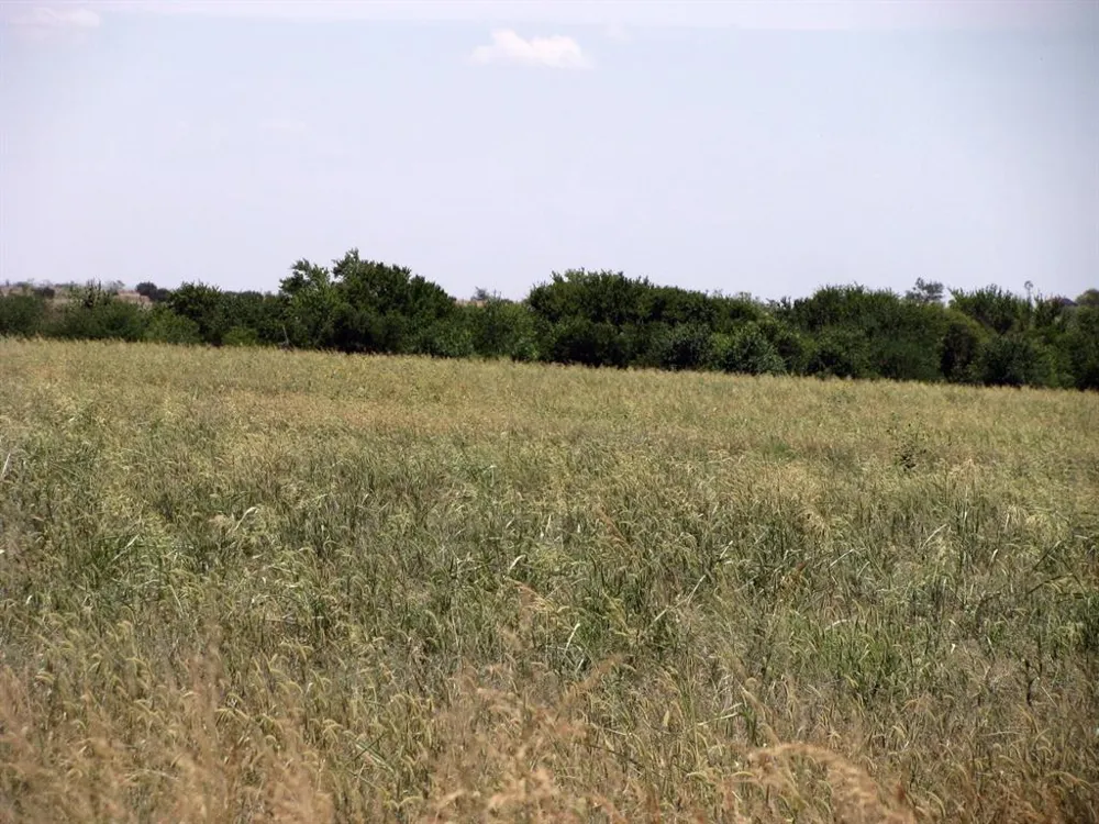 County Road 404 Hamilton, TX 76531