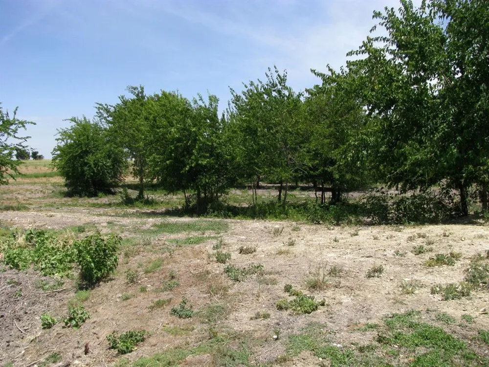 County Road 404 Hamilton, TX 76531