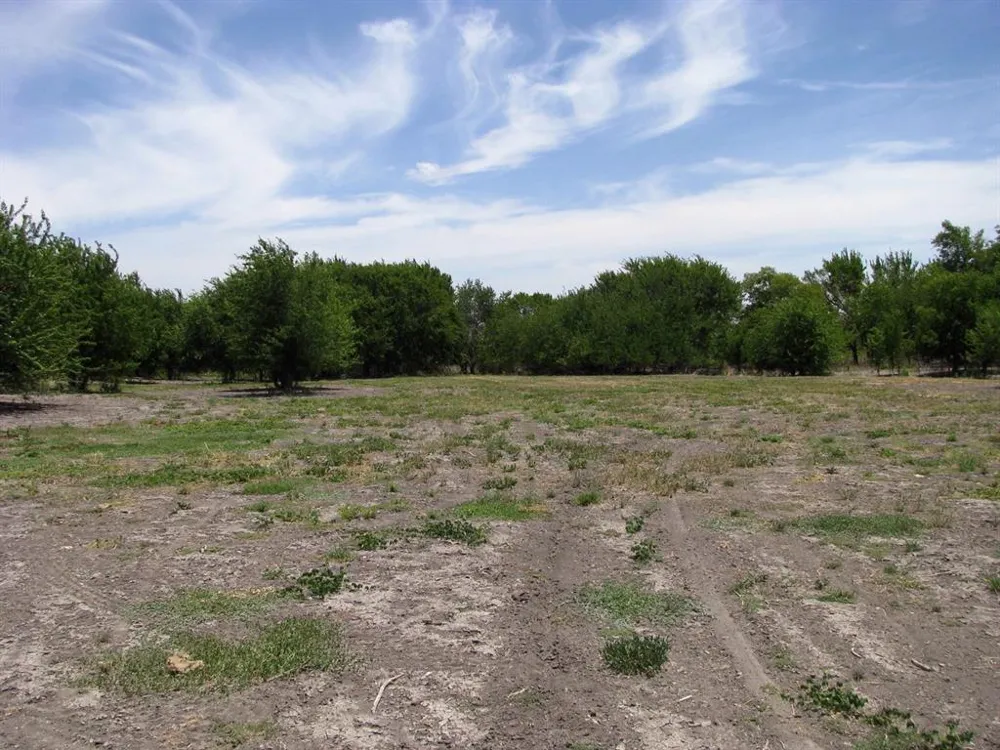 County Road 404 Hamilton, TX 76531