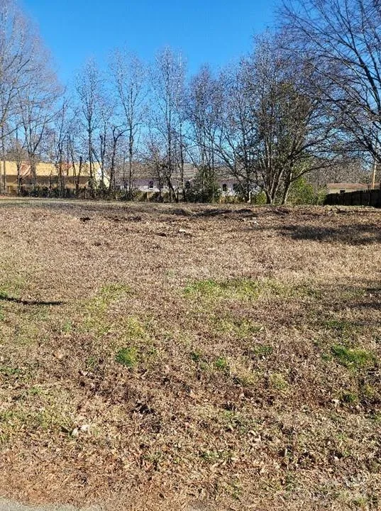 19512 Meridian Street Cornelius, NC 28031