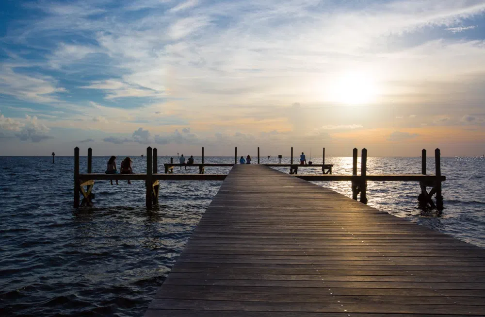3226 MANGROVE POINT DRIVE Ruskin, FL 33570