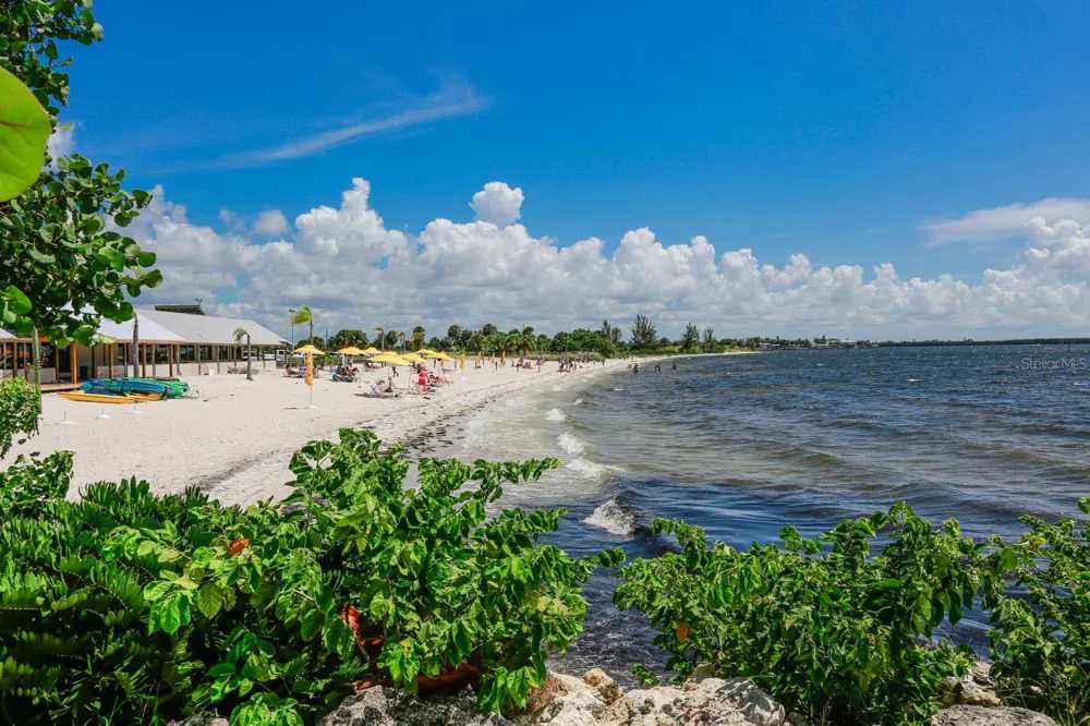 3226 MANGROVE POINT DRIVE Ruskin, FL 33570