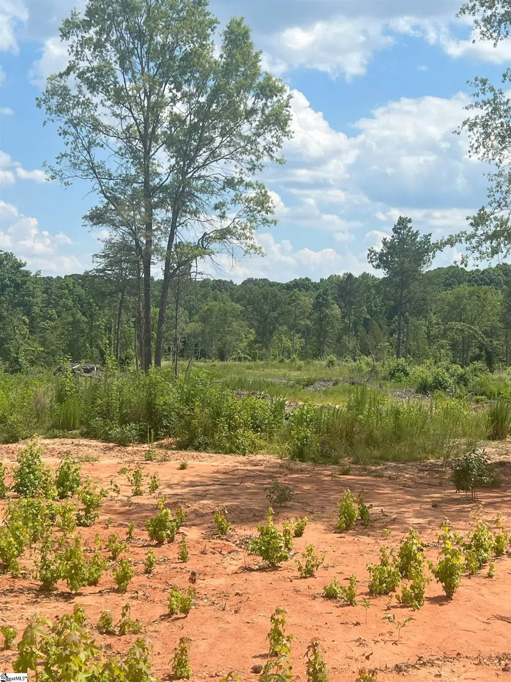 00 Casey Road Woodruff, SC 29388