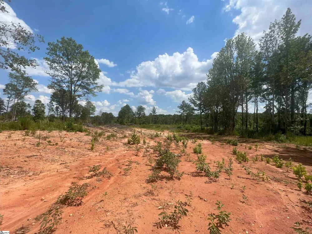 00 Casey Road Woodruff, SC 29388