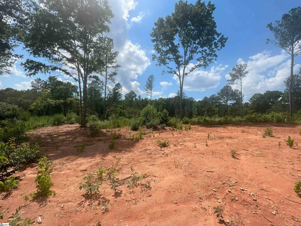 00 Casey Road Woodruff, SC 29388