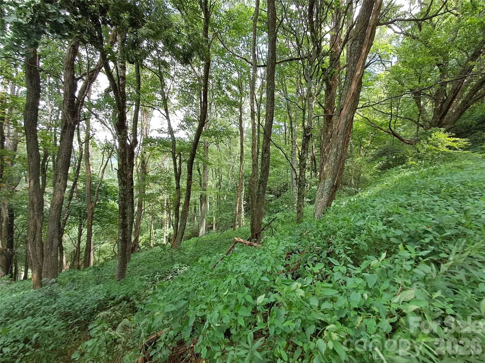 00 Hurricane Ridge Trace #53 Clyde, NC 28721