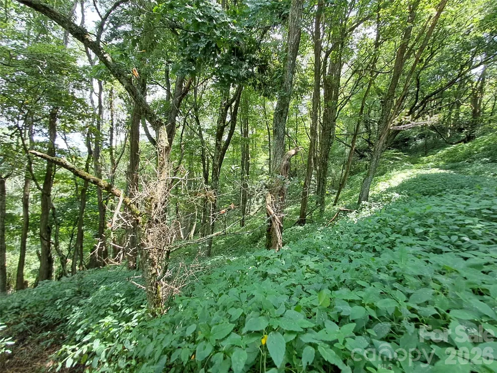 00 Hurricane Ridge Trace #53 Clyde, NC 28721