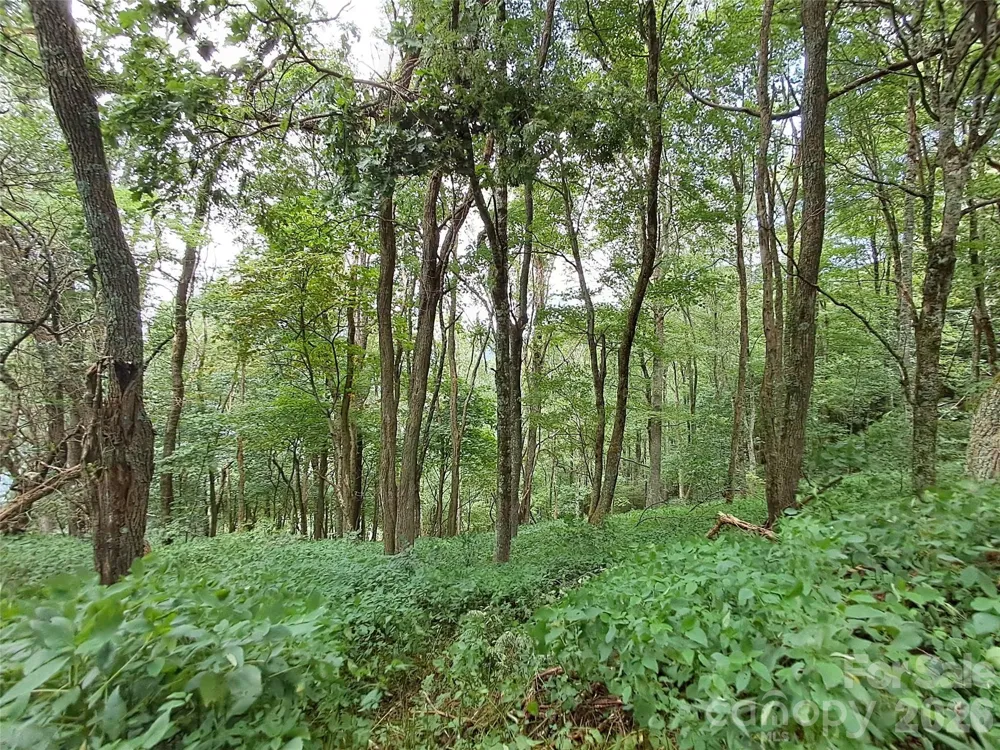 00 Hurricane Ridge Trace #53 Clyde, NC 28721