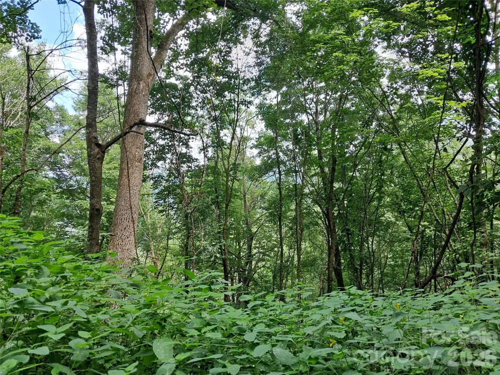 00 Hurricane Ridge Trace #53 Clyde, NC 28721