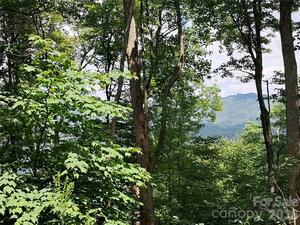 00 Hurricane Ridge Trace #53 Clyde, NC 28721