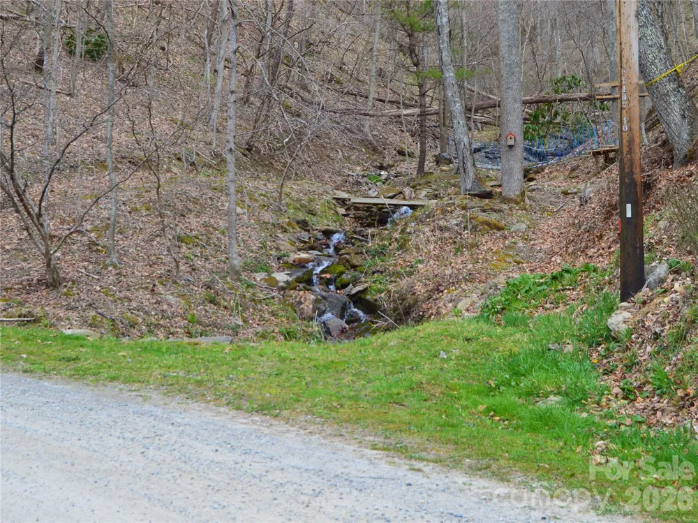00 Hurricane Ridge Trace #53 Clyde, NC 28721