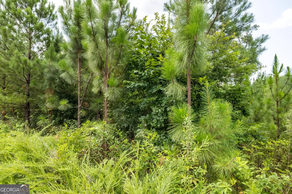36 Stargazer TRL NW Rome, GA 30165