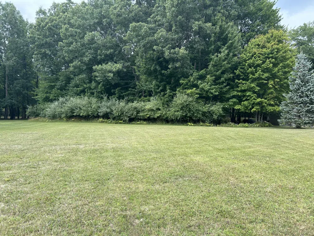9523 Fawn Ridge Road Canadian Lakes, MI 49346