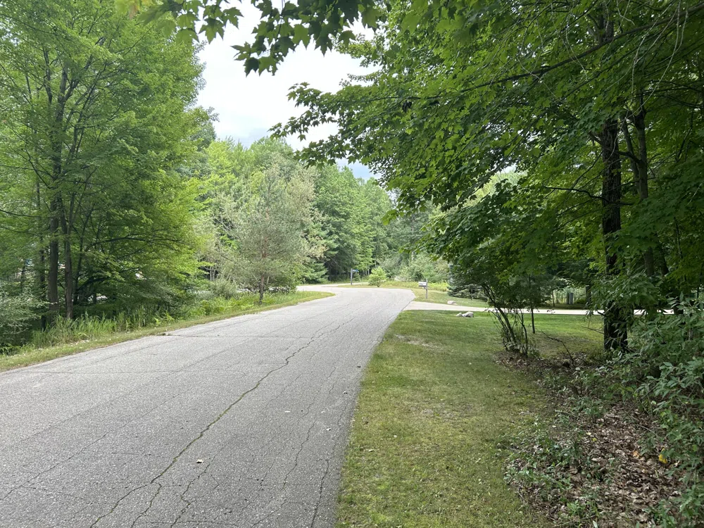 9523 Fawn Ridge Road Canadian Lakes, MI 49346