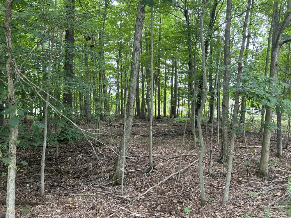 9523 Fawn Ridge Road Canadian Lakes, MI 49346