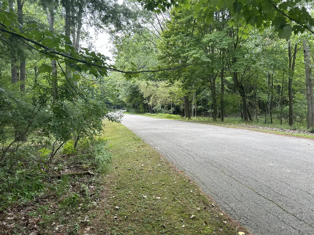 9523 Fawn Ridge Road Canadian Lakes, MI 49346