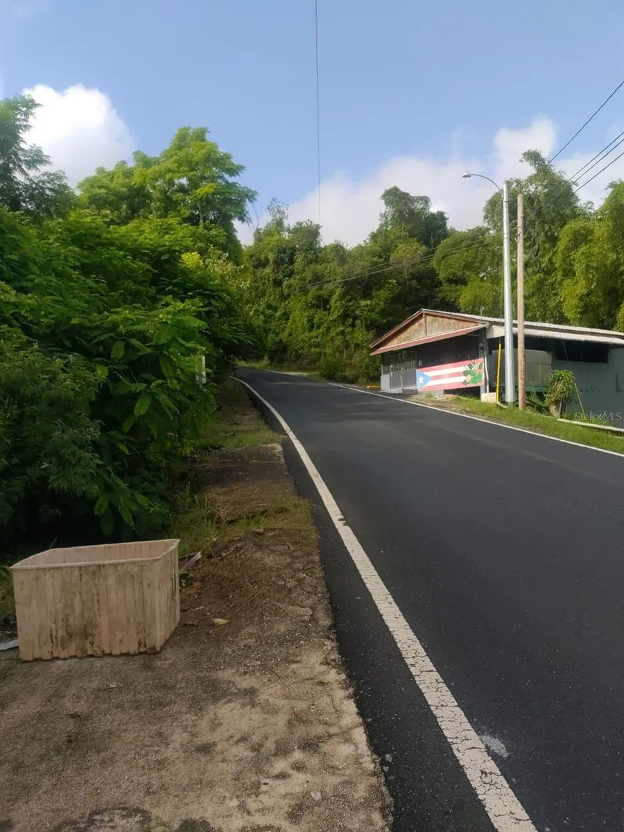CARR 821 KM 1.9 Corozal, PR 00783