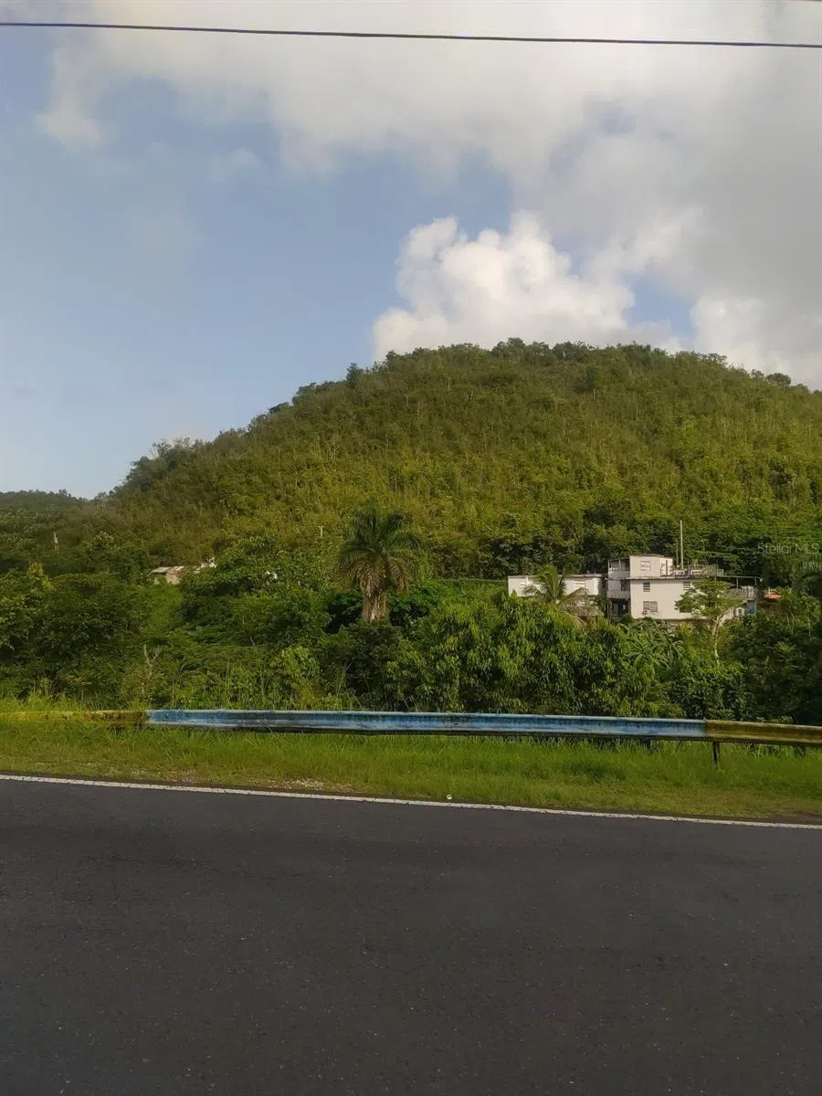 CARR 821 KM 1.9 Corozal, PR 00783