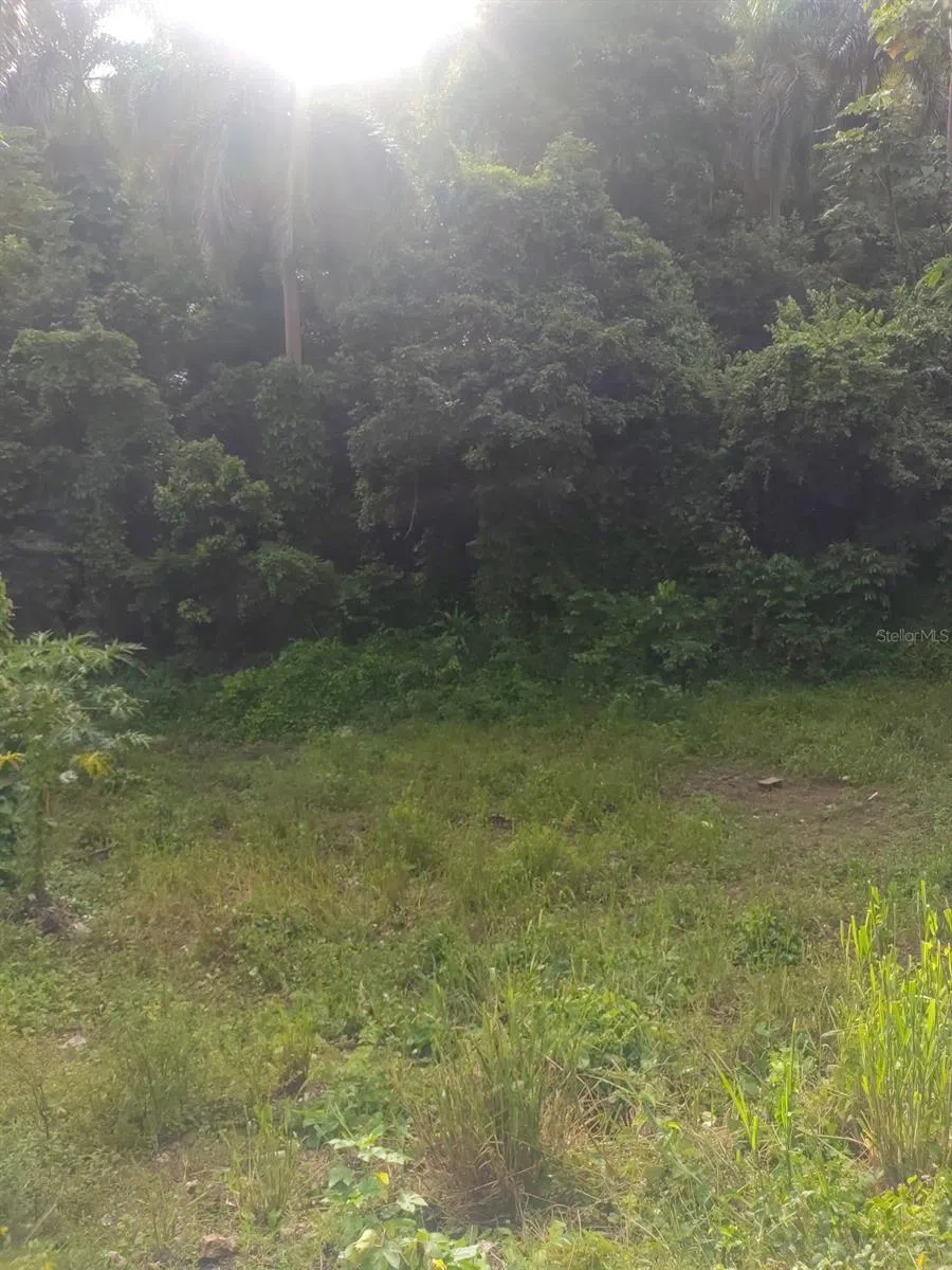 CARR 821 KM 1.9 Corozal, PR 00783