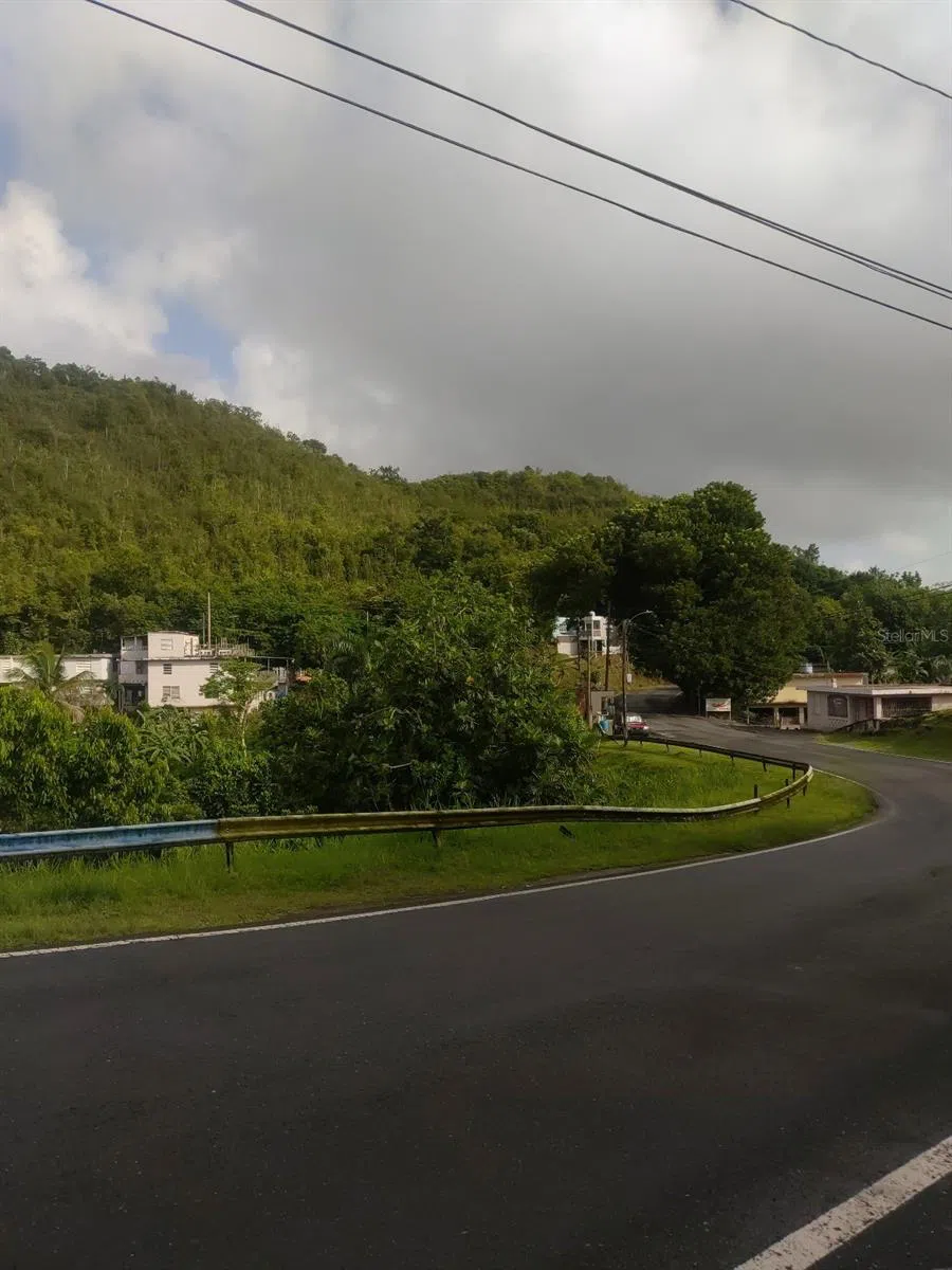 CARR 821 KM 1.9 Corozal, PR 00783