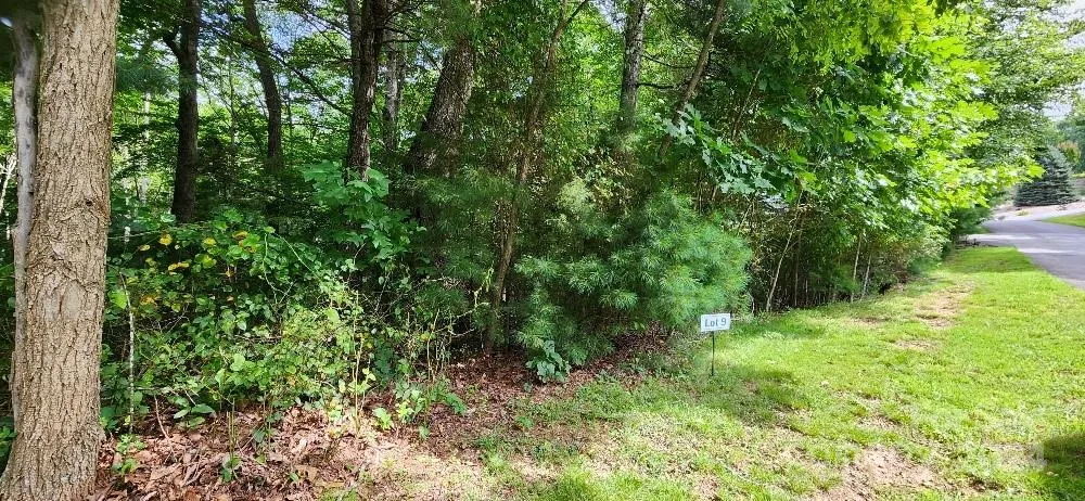 00000 Barebridge Drive #9 Burnsville, NC 28714