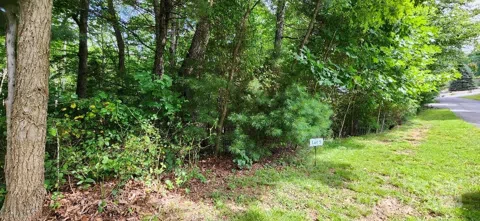 00000 Barebridge Drive #9