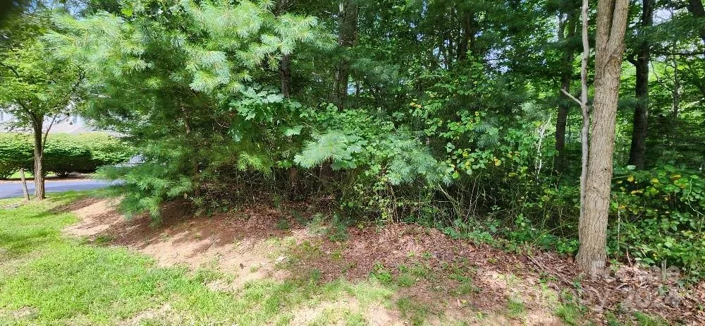 00000 Barebridge Drive #9 Burnsville, NC 28714