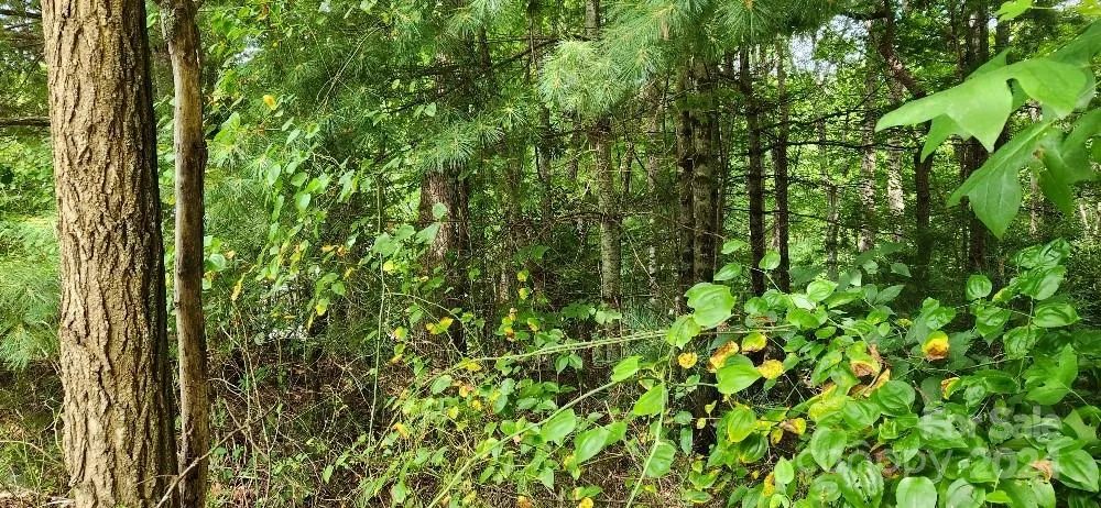 00000 Barebridge Drive #9 Burnsville, NC 28714