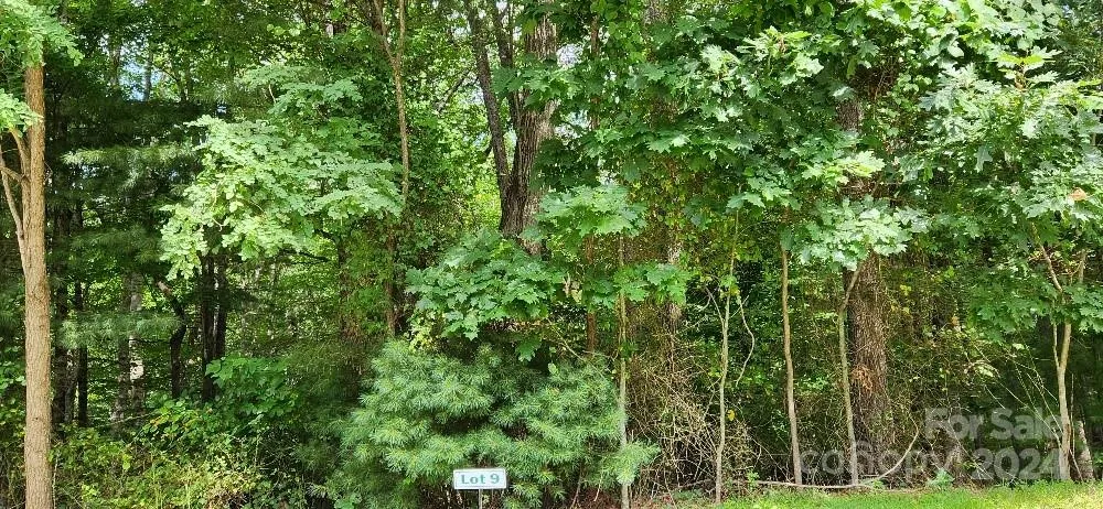 00000 Barebridge Drive #9 Burnsville, NC 28714