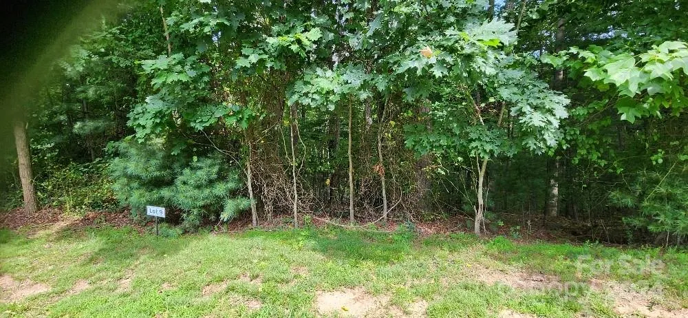00000 Barebridge Drive #9 Burnsville, NC 28714