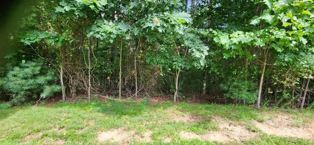 00000 Barebridge Drive #9 Burnsville, NC 28714