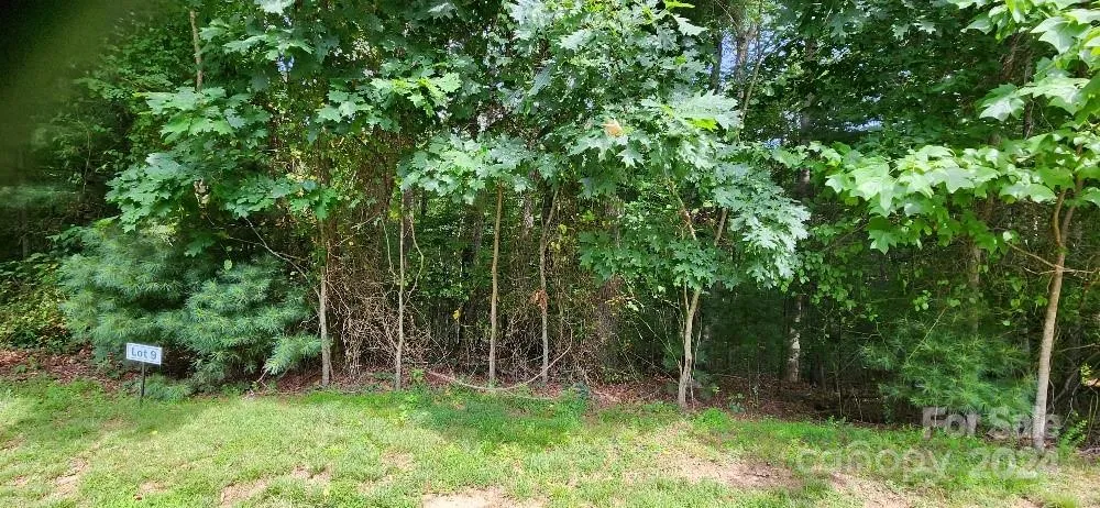 00000 Barebridge Drive #9 Burnsville, NC 28714