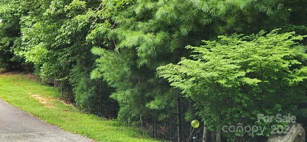 00000 Barebridge Drive #9 Burnsville, NC 28714