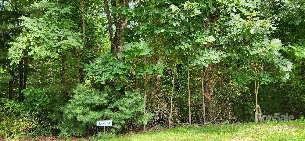 00000 Barebridge Drive #9 Burnsville, NC 28714