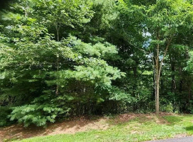 00000 Barebridge Drive #9 Burnsville, NC 28714