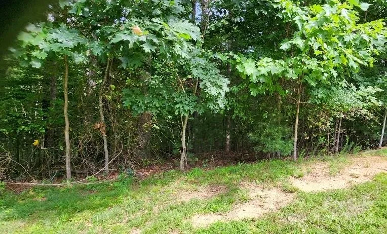 00000 Barebridge Drive #9 Burnsville, NC 28714