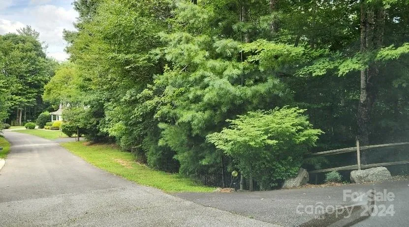 00000 Barebridge Drive #9 Burnsville, NC 28714