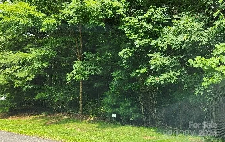 00000 Barebridge Drive #9 Burnsville, NC 28714